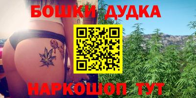 дживик Можга