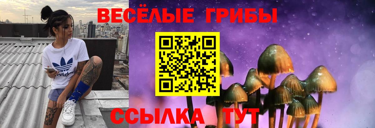 Ухта  Галлюциногенные грибы GOLDEN TEACHER  Вход с VPN  Галлюциногенные грибы мухоморы 